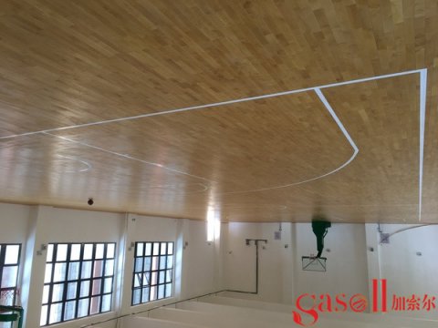 实木体育篮球木地板什么牌子好