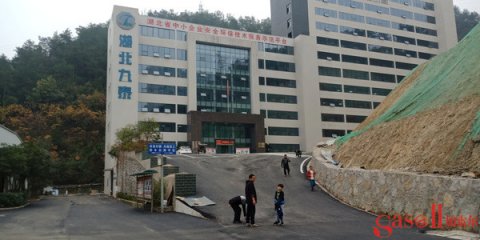 荆州运动木地板工艺